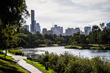 Melbourne's skyscrapers from royal botanic gardens 