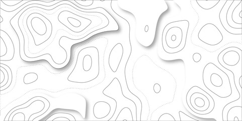 Abstract wavy line 3d paper cut white background with shadows. Abstract realistic papercut decoration textured with wavy layers. Topographic contour lines vector map seamless pattern vector.