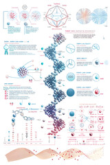 Exploring the Intricacies of Ribosomal RNA Sequencing: From Transcription to Translation and Data Analysis