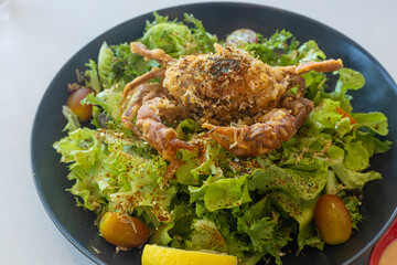 Soft shell crab salad isolated on white background
