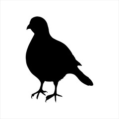 Bobwhite quail silhouette icon logo vector illustration isolated on white background