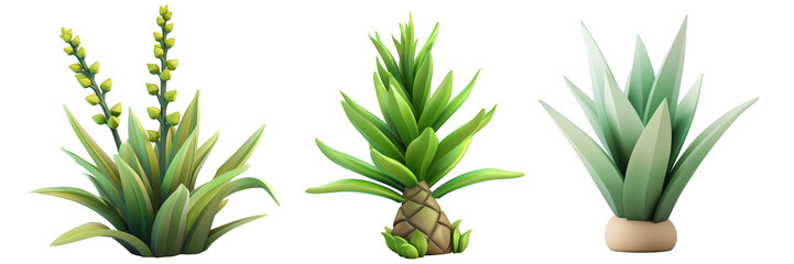 PNG yucca 3d icons and objects collection, in cartoon style minimal on transparent, white background, isolate