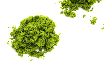 Wolffia globosa or swamp algae, water meal