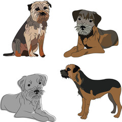 Detailed Border terrier. Cute dog logo design, trendy colors, terrier breed pet character postcard art. Funny dog mascot. Sitting pose, laying, staying. Contour, line art dog, terrier silhouette.