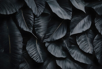 Fototapeta premium Lush Darkness: A Tapestry of Dark Tropical Leaves with Subtle Vein Detailing