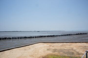 rubber wheel wall protect wave in mangrove forest at Thailand