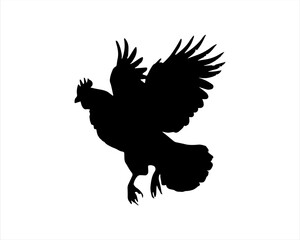 Chicken flying silhouette vector illustration isolated on white background