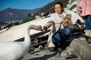 Happy woman feeding white swans on the lake of Como, enjoying a happy weekend outdoors. Italian...
