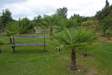 Parc botanique, Les jardins de Colette, Domaine du Chaillaud. Saint André de Libon, 17, Charente...