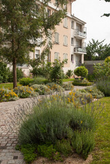 Obraz premium Jardin des senteurs, Villeneuce le Roi, Région Ile de France, 94, Val de Marne, France