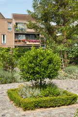 Jardin des senteurs, Villeneuce le Roi, Région Ile de France, 94, Val de Marne, France
