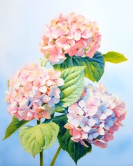 Captivating Hydrangea Blossoms in Soft Watercolor Hues on Serene Background - obrazy, fototapety, plakaty