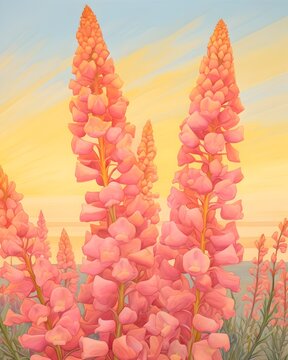 Captivating Panorama of Vibrant Coral Bells in Golden Sunset Glow