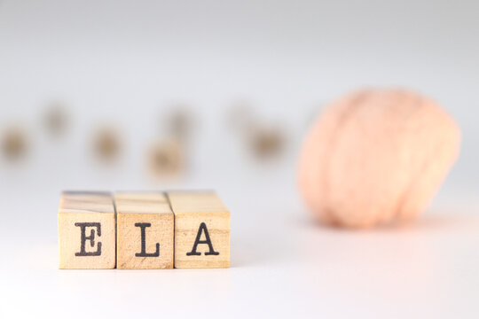 Spanish word ELA. acronym of amyotrophic lateral sclerosis on white background.