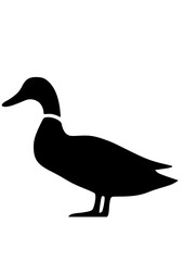 Duck SVG, Hunting SVG, Animal SVG, Bird SVG, Duck Silhouette, Duck Clipart, Duck Cut file for Cricut