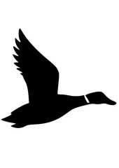 Duck SVG, Hunting SVG, Animal SVG, Bird SVG, Duck Silhouette, Duck Clipart, Duck Cut file for Cricut