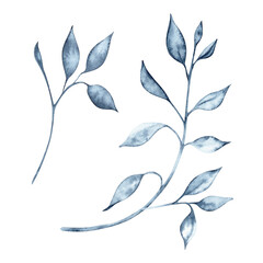 Blue abstract leaves watercolor illustration. Hand drawn botanical element on transparent background. Indigo Blue monochrome branches clipart for textile patterns, decorative leaf designs and cards