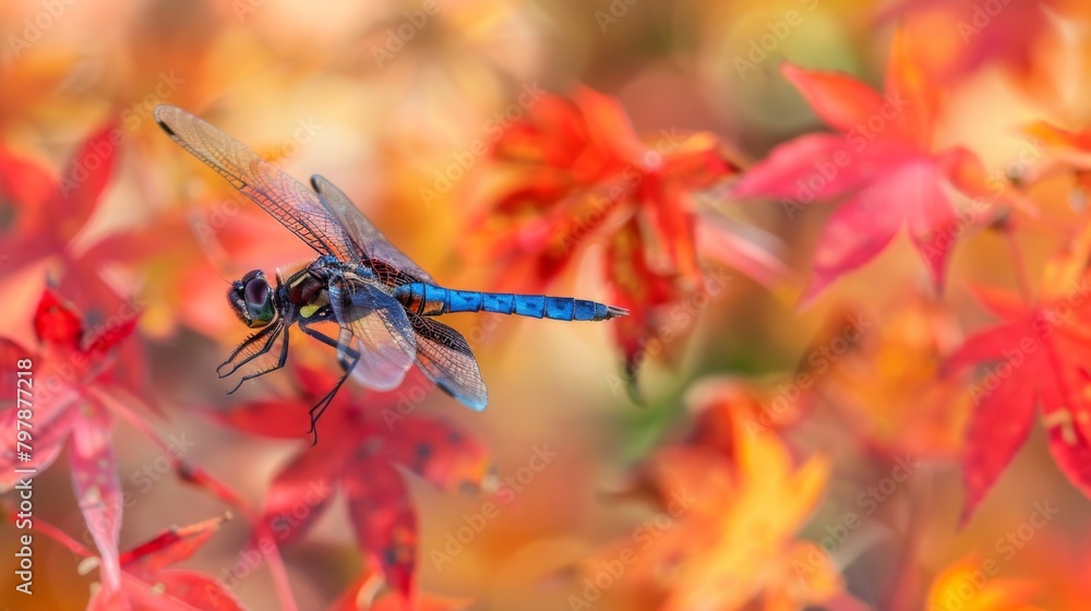 Aufkleber a dragonfly captured in flight against a backdrop of colorful autumn leaves, symbolizing the fleetin