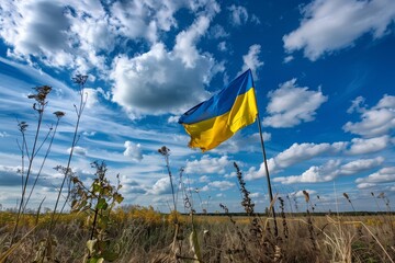 Ukrainian flag in  the field.