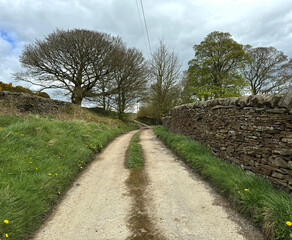 Back Lane, bordered by stone walls, snakes through a lush landscape dotted with flowering plants, toward overhanging trees that  cast shadows on the path in, Bradley, Yorkshire, UK