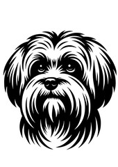 Maltese SVG, Maltese PNG, Dog SVG, Dog breed, Dog lover, Maltese Silhouette, Maltese Clipart, Maltese Cut file for Cricut, Maltese Art, Maltese Face