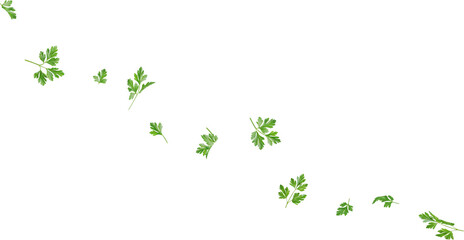 falling parsley