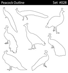 Minimal style peacock line drawing, Side view, set of graphics peacocks elements outline symbol for creating coloring pages, prints. design drawing. Vector illustration in stroke fill in white.