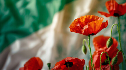 Celebrating Liberation Day in Italy: Red Poppies Bloom Against the Backdrop of the Italian Flag, Honoring National Holiday