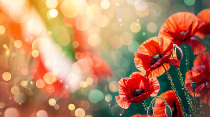Celebrating Italy's Liberation Day: Red Poppy Flowers Bloom Against the Backdrop of the Italian Flag, Marking a Day of Freedom and National Pride