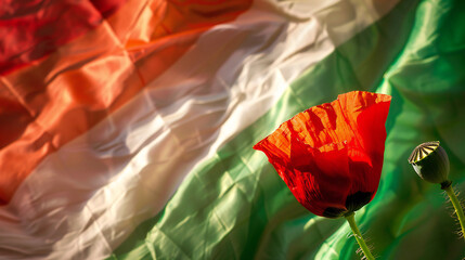 Celebrating Liberation Day: Red Poppy Flowers and Italy's Flag Unite in a Symbol of Freedom and National Pride