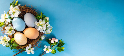 Easter colorful eggs in a nest on a blue table with spring flowers, cherry branch. Copy place. Top view. Easter card and banner. Generative AI. - 797918030