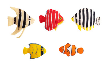 5種類の熱帯魚セット（粘土立体イラスト）