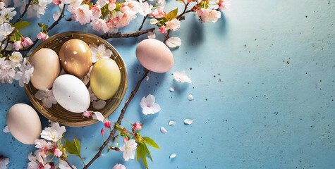 Easter colorful eggs in a nest on a blue table with spring flowers, cherry branch. Copy place. Top view. Easter card and banner. Generative AI. - 797919045