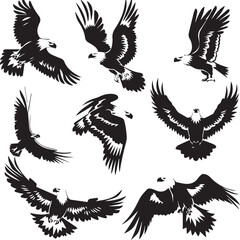 set of eagle
