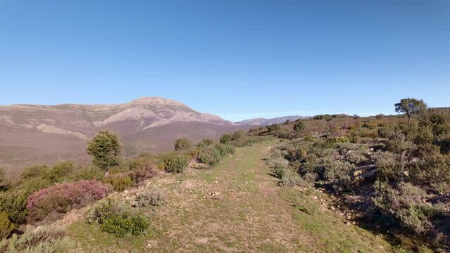 Hiking trail through the northern mountains of Guadalajara in central Spain.