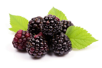 Some red-black fresh blackberries with green leaves isolated on white background. Organic farm food, natural forest berries, fresh market, healthy products.