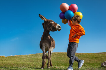 Boy with balloons standing next to donkey in a field