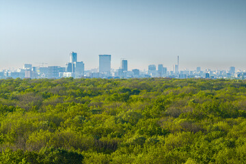 Fototapeta na wymiar Bucharest from above. Aerial landscape of north part of Bucharest, view from Baneasa Forest with green trees in foreground. Unique perspective of Bucharest, capital of Romania.