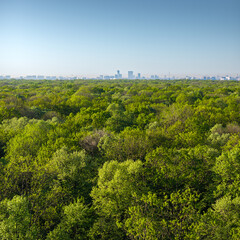 Bucharest from above. Aerial landscape of north part of Bucharest, view from Baneasa Forest with...