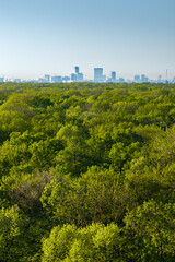 Bucharest from above. Aerial landscape of north part of Bucharest, view from Baneasa Forest with green trees in foreground. Unique perspective of Bucharest, capital of Romania.