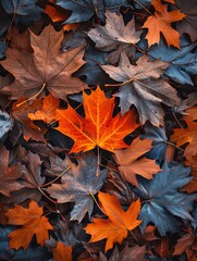 Obraz premium A close up of a pile of colorful autumn leaves with a red leaf in the center.