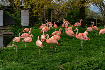 A day out at the zoo