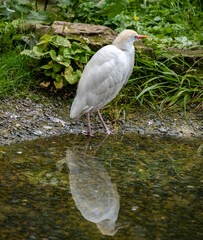 A day out at the zoo