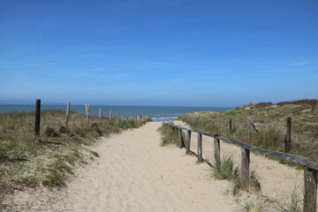 Weg zum Strand durch die Dünen von Noordwijk in Holland an der Nordsee - 797951290