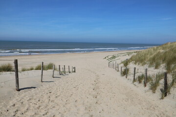 Weg zum Strand von Noordwijk an der Nordsee in Holland mit Sanddünen - 797954061