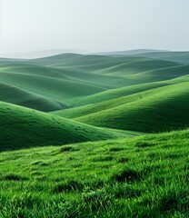 b'Picturesque green rolling hills under the clear blue sky'