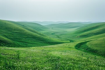 b'Green rolling hills of a valley with white flowers'