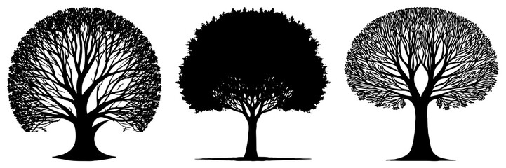 Tree . Black and white botanical illustration. Logo design for use in graphics. Generated by Ai
