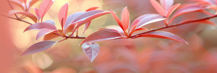 Backgrounds of pink leaves with bright accents