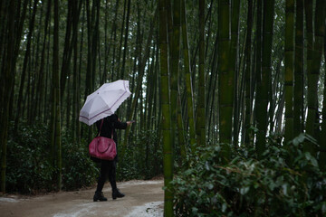 View of the snowing bamboo forest with the walking tourist